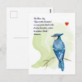 Blue jay waterverf schilderij briefkaart (Voorkant / Achterkant)