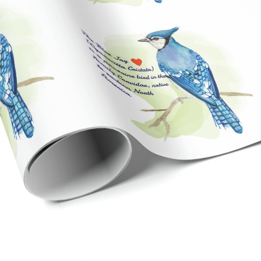 Blue jay waterverf schilderij cadeaupapier (Rol Hoek)