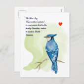 Blue jay waterverf schilderij feestdagenkaart (Voorkant / Achterkant)
