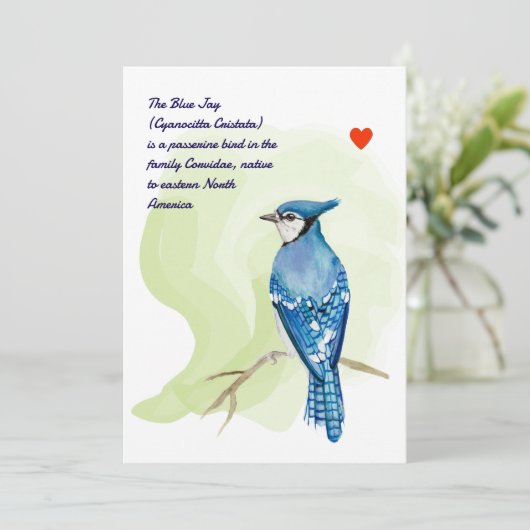 Blue jay waterverf schilderij kaart (Staand voorkant)