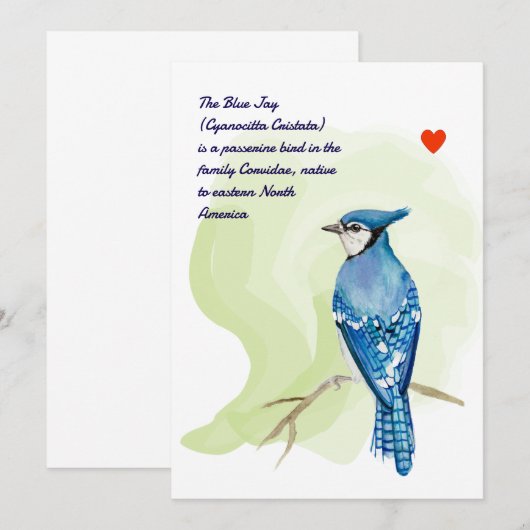 Blue jay waterverf schilderij kaart (Voorkant / Achterkant)