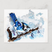 Blue Jay Winter Briefkaart (Voorkant)