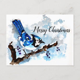 Blue Jay Winter Holiday Card Feestdagenkaart