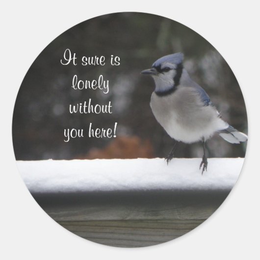Blue Jay: Zonder jou hier Stickers (Voorkant)