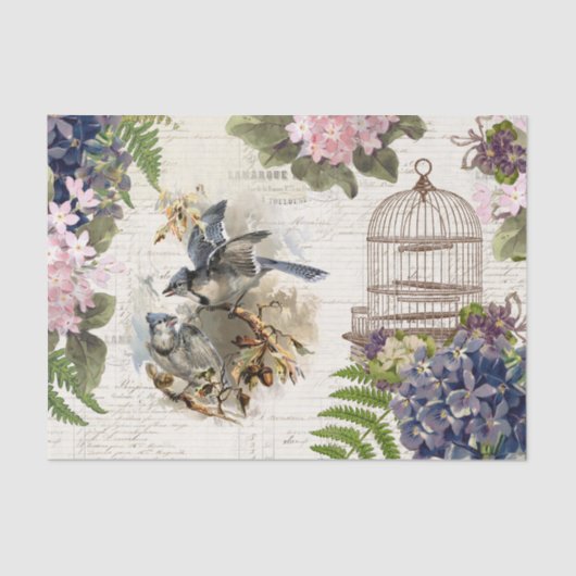 Blue Jays  Birdcage Floral Tissuepapier (Voorkant)