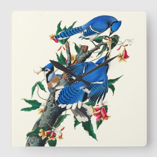 Blue Jays Ceramic Tegel Vierkante Klok (Voorkant)