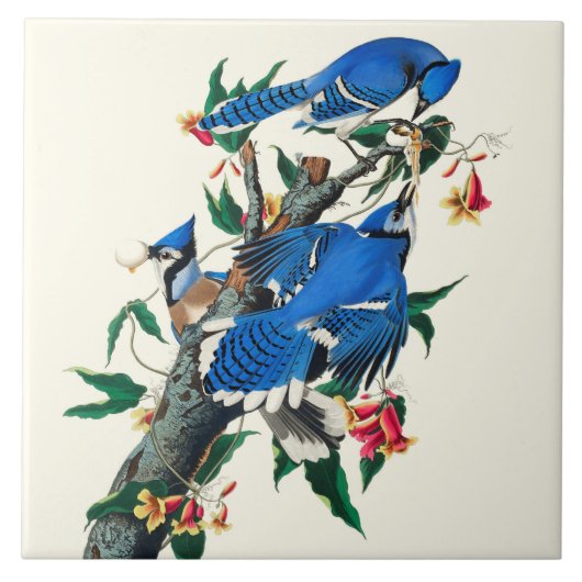 Blue Jays Ceramic Tile Tegeltje (Voorkant)