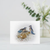 Blue Jays in Winter Briefkaart (Staand voorkant)