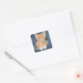 Blue Jean Baby Sinaasappel Kitten Vierkante Sticker (Envelop)