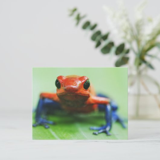 Blue Jean Frog Briefkaart (Staand voorkant)