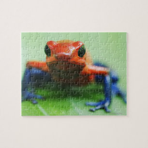 Blue Jean Frog Legpuzzel