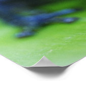 Blue Jean Frog Poster (Hoek)