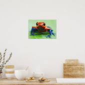 Blue Jean Frog Poster (Keuken)