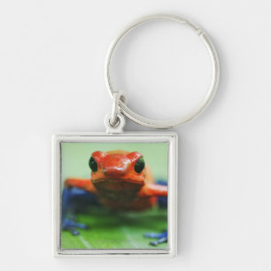 Blue Jean Frog Sleutelhanger