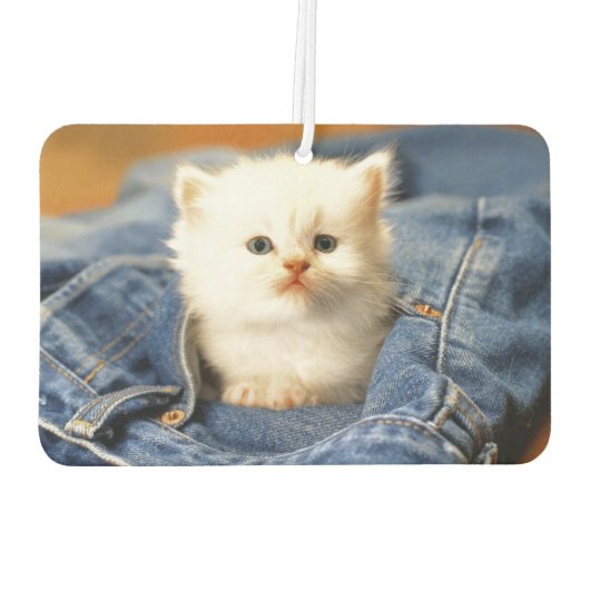 Blue Jean Pocket Kitten Air Freshener Luchtverfrisser (Achterkant)