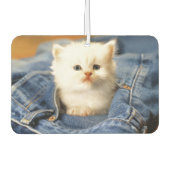Blue Jean Pocket Kitten Air Freshener Luchtverfrisser (Voorkant)