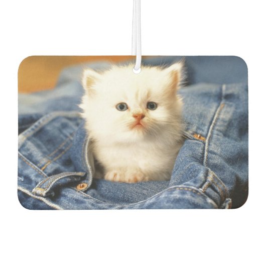 Blue Jean Pocket Kitten Air Freshener Luchtverfrisser (Voorkant)