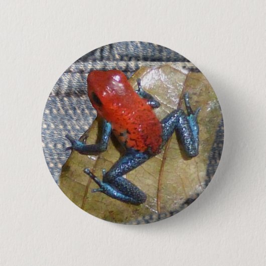 Blue Jeans Frog Button (Voorkant)