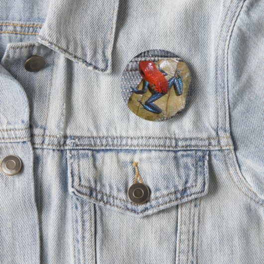 Blue Jeans Frog Button (In situ)