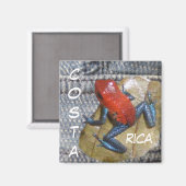 Blue Jeans Frog Magnet (Voorkant / Achterkant)