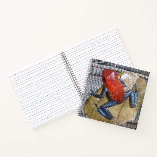 Blue Jeans Frog Square Notitieboek (Binnen)