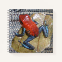 Blue Jeans Frog Square Notitieboek