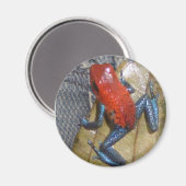 Blue Jeans Kikkermagneet Magneet (Voorkant / Achterkant)