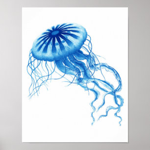 Blue Jellyfish  Art Print No.3 Beach Decor