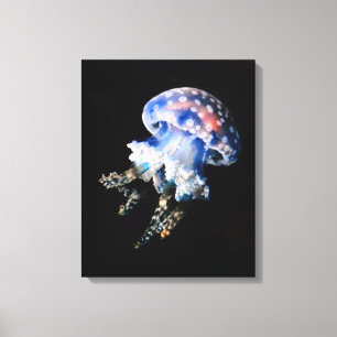 Blue Jellyfish Fine Art Canvas afdrukken