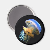 Blue Jellyfish Magneet (Voorkant / Achterkant)