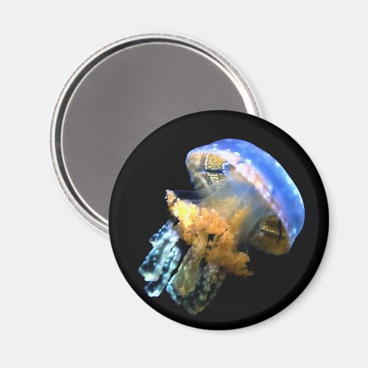 Blue Jellyfish Magneet (Voorkant / Achterkant)