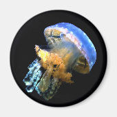 Blue Jellyfish Magneet (Voorkant)