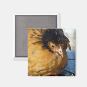 Blue Jr Magneet (Voorkant / Achterkant)