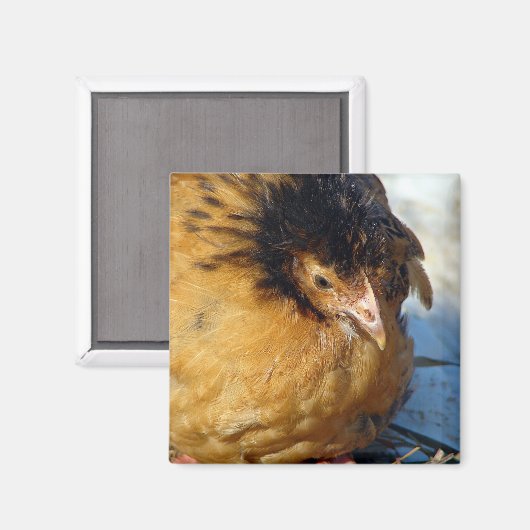 Blue Jr Magneet (Voorkant / Achterkant)