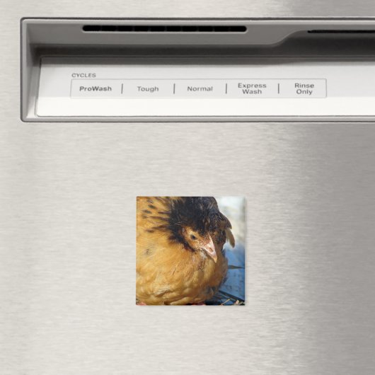 Blue Jr Magneet (Insitu (Vaatwasser))