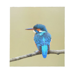 Blue Kingfisher Bird Notitieblok
