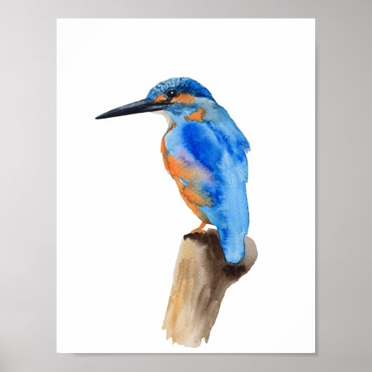 Blue kingfisher bird poster (Voorkant)
