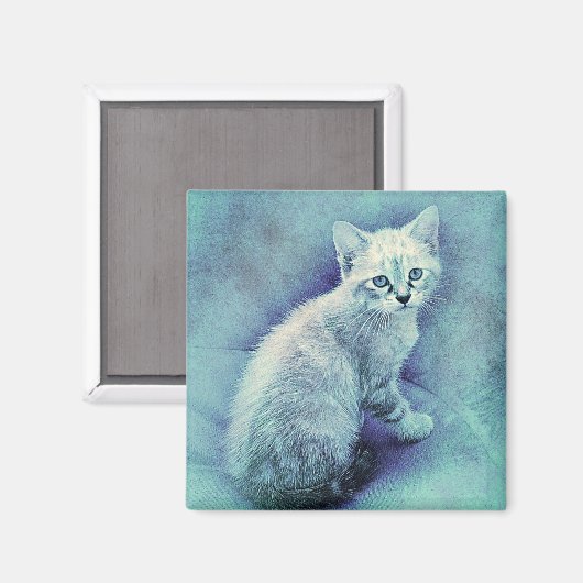 Blue Kitten | ABSTRACT | WATERVERF Magneet (Voorkant / Achterkant)