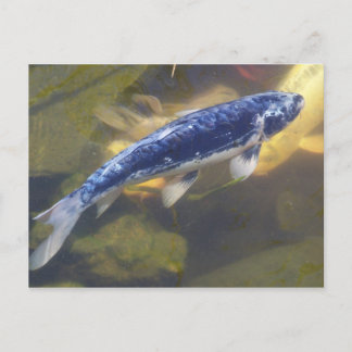 Blue koi-briefkaart briefkaart
