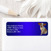 Blue Label retouradres Chihuahua (Insitu)