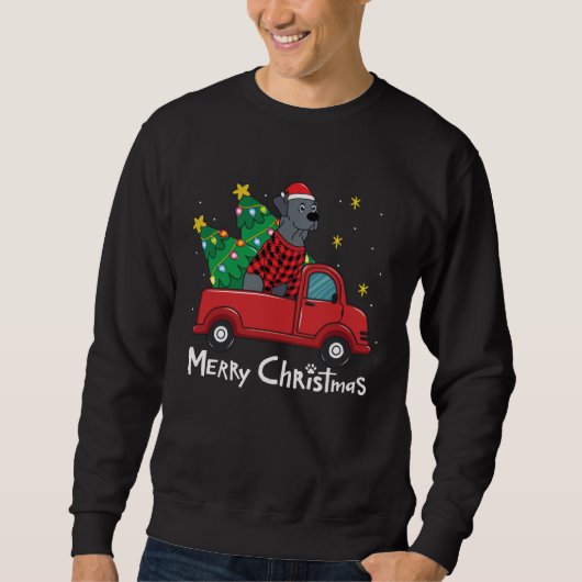 Blue Lace Christmas Truck Blue Lacy Trui (Voorkant)