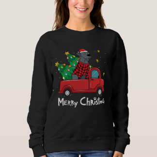 Blue Lace Christmas  Truck  Blue Lacy Trui