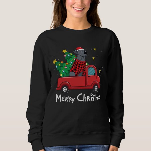 Blue Lace Christmas Truck Blue Lacy Trui (Voorkant)