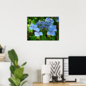 Blue Lace-pet Hydrangea - Poster (Thuiskantoor)