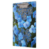 Blue Lacecap Hydrangea Floral Klembord (Links)
