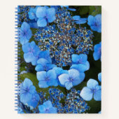 Blue Lacecap Hydrangea Floral Notitieboek (Voorkant)