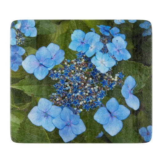Blue Lacecap Hydrangea Floral Snijplank (Voorkant)