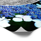 Blue Lacecap Hydrangea Flower Lijst Uw foto toevoe Poster (Hoek)