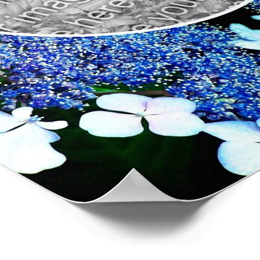 Blue Lacecap Hydrangea Flower Lijst Uw foto toevoe Poster (Hoek)