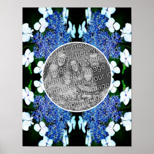 Blue Lacecap Hydrangea Flower Lijst Uw foto toevoe Poster